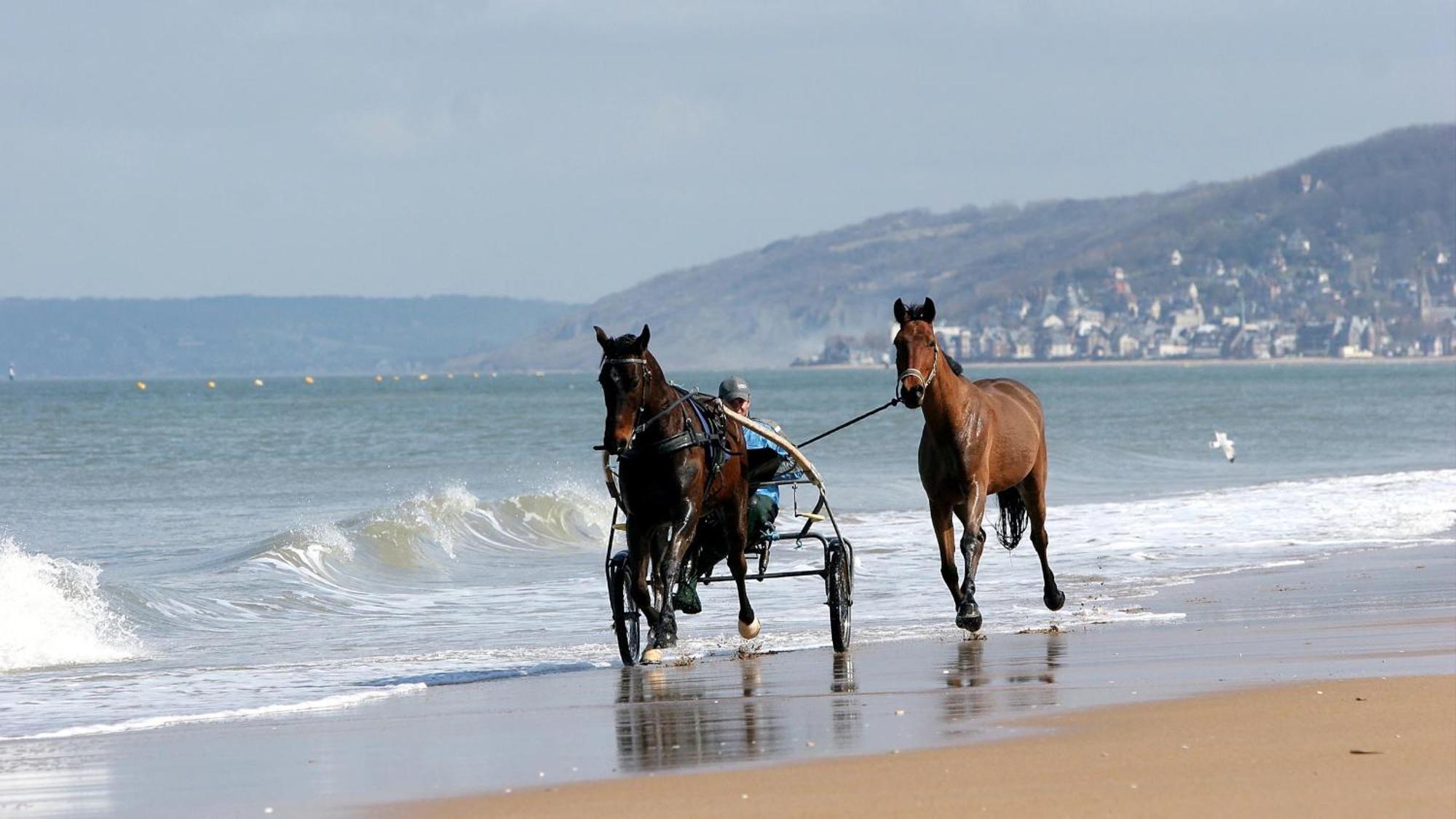 Cote Plage & Balcon Cabourg Kültér fotó